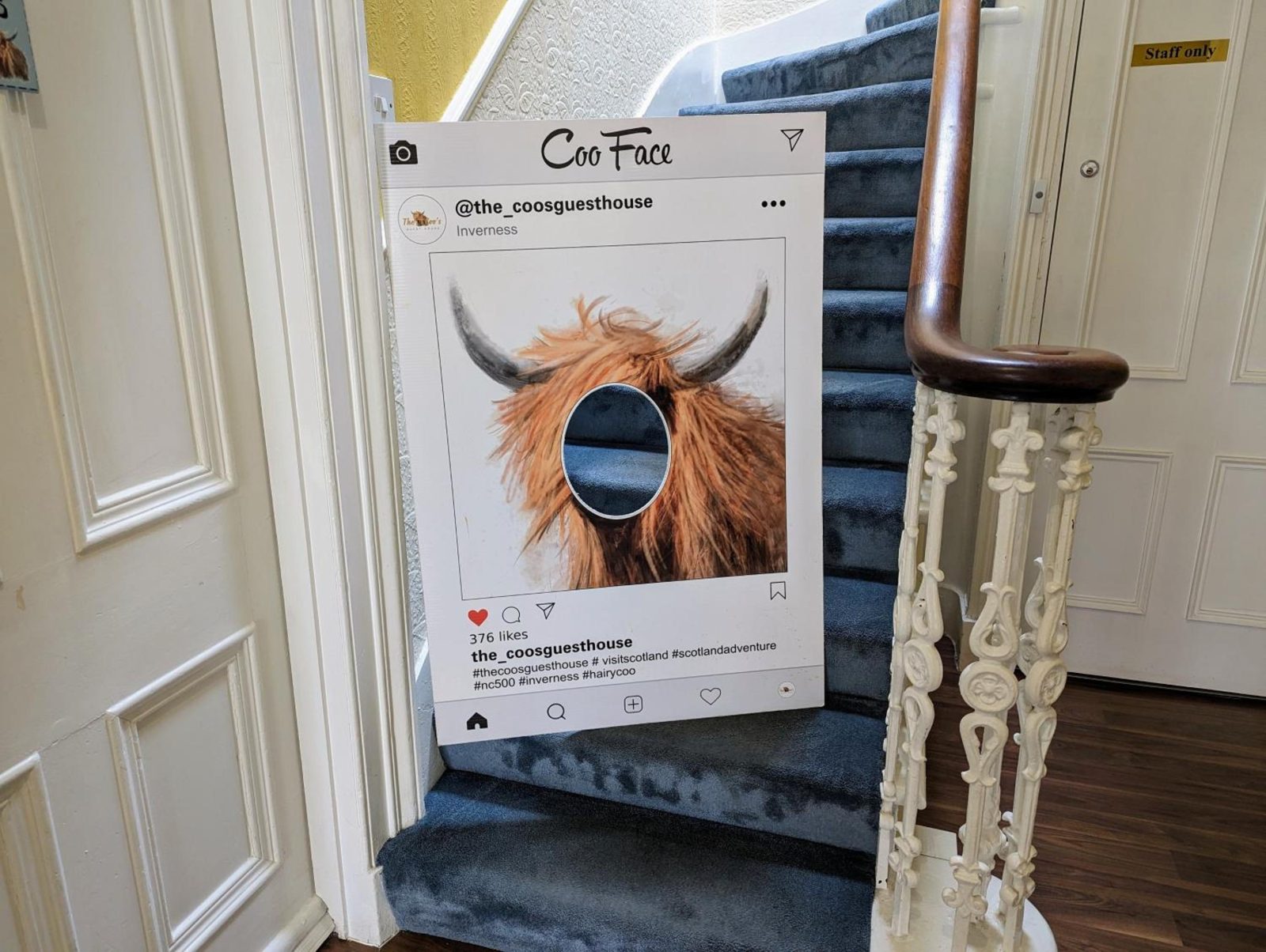 The Coo's Guest House — photo 7